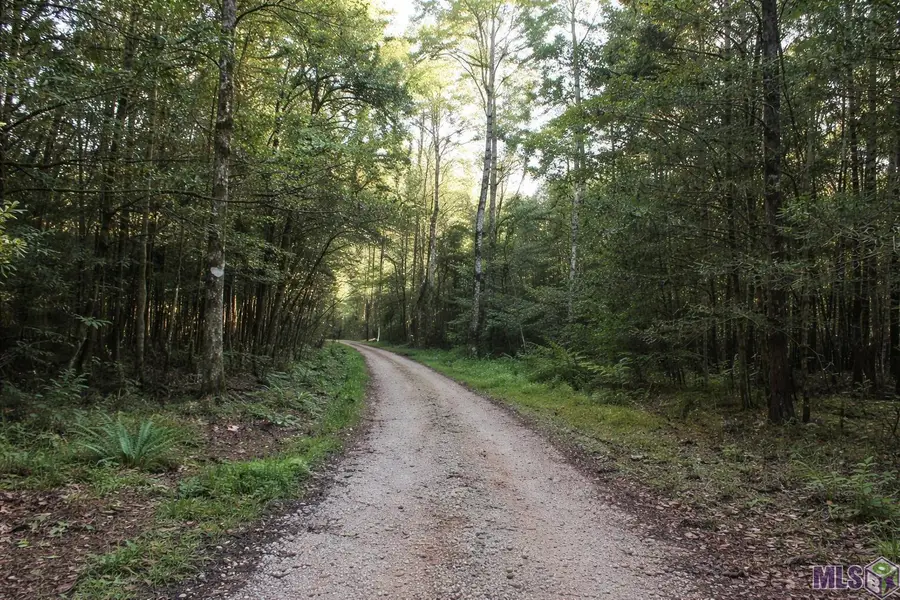 19425 Grantham Rd, Livingston, LA 70754 - #2