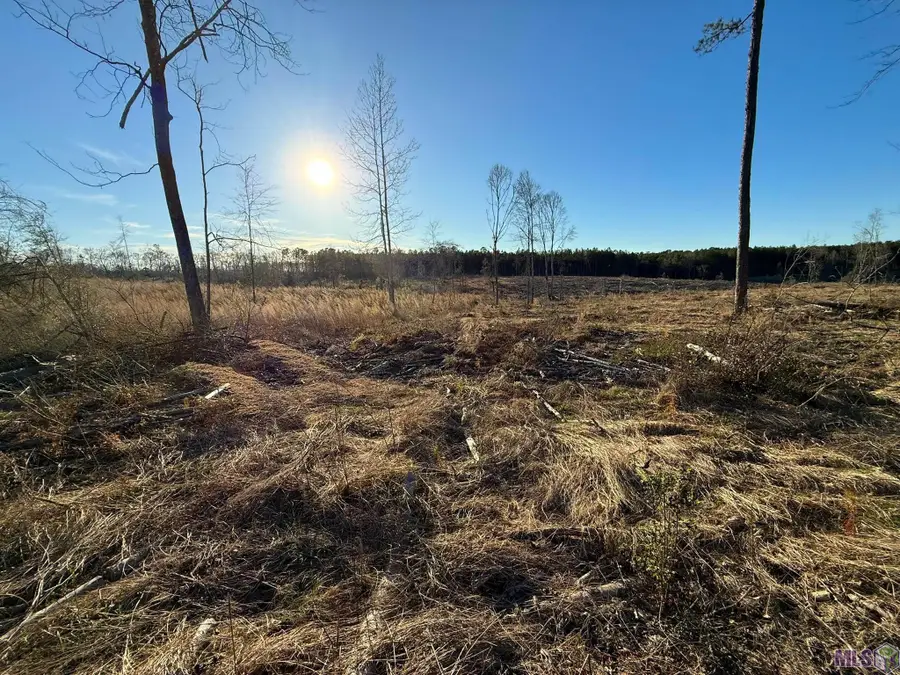 TBD Hwy 450, Mount Hermon, LA 70450 - #3