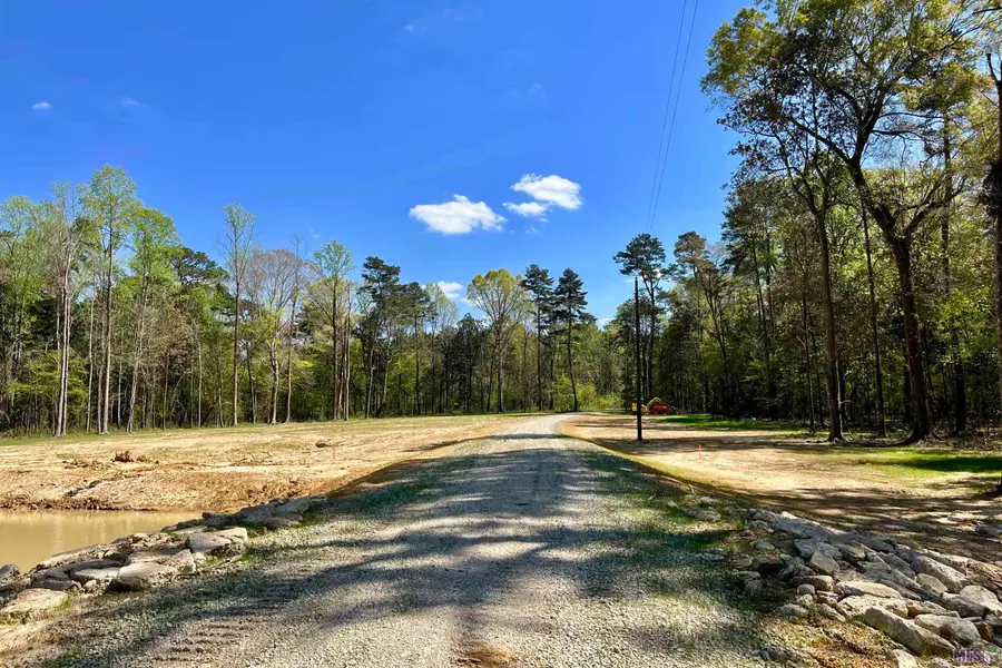 26 Lillian Ln, Ethel, LA 70730 - #2