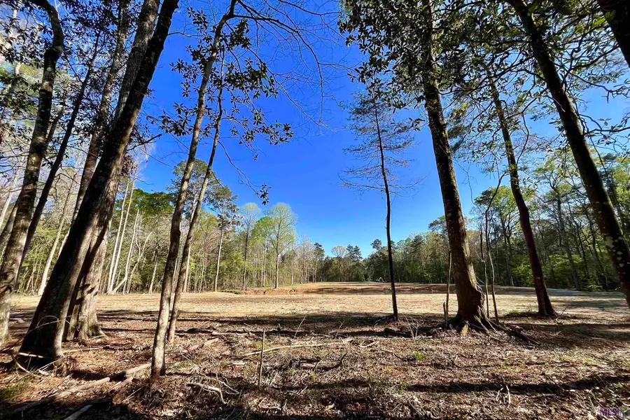 25 Lillian Ln, Ethel, LA 70730 - #2