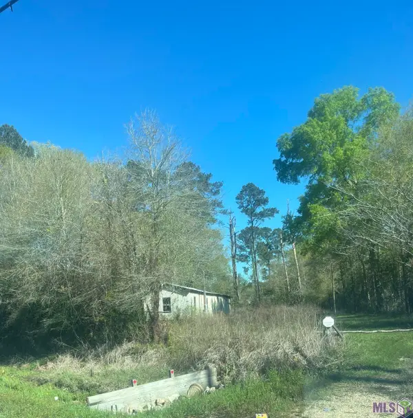 31937 William Kelly Ln, Denham Springs, LA 70726