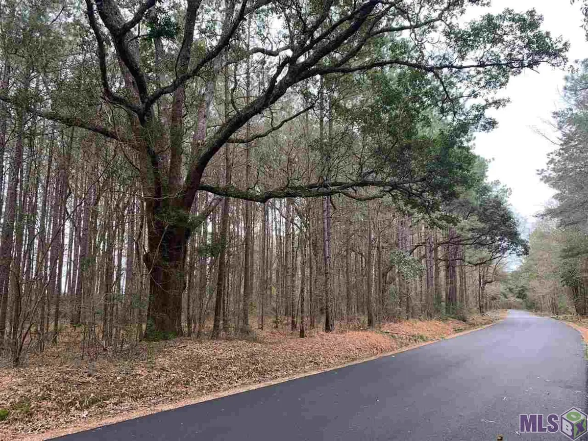 Lot 15 Nesom Rd, Denham Springs, LA 70706 - #1