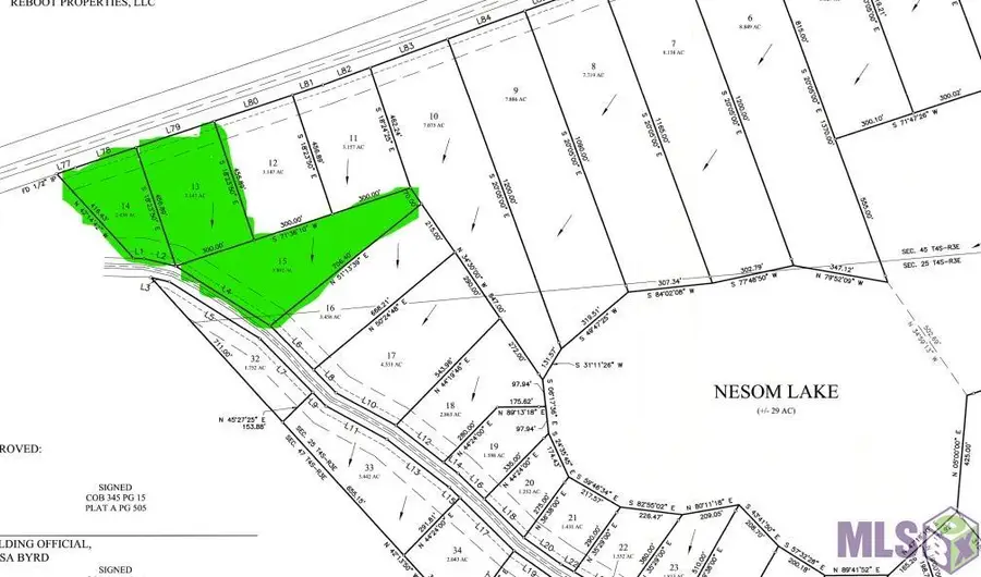 Lot 15 Nesom Rd, Denham Springs, LA 70706 - #3
