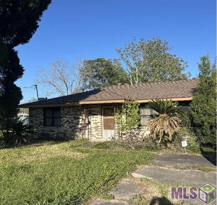 12172 La Hwy 73, Geismar, LA 70734 - #3