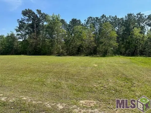 26404 Ponchatoula Dr, Springfield, LA 70449