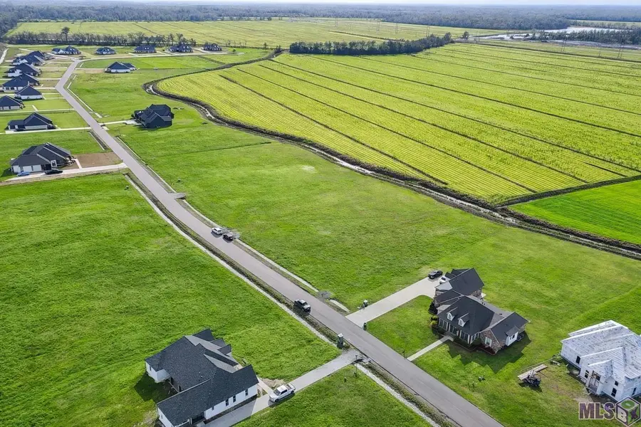 402 Harvest Ln, Port Allen, LA 70767 - #2