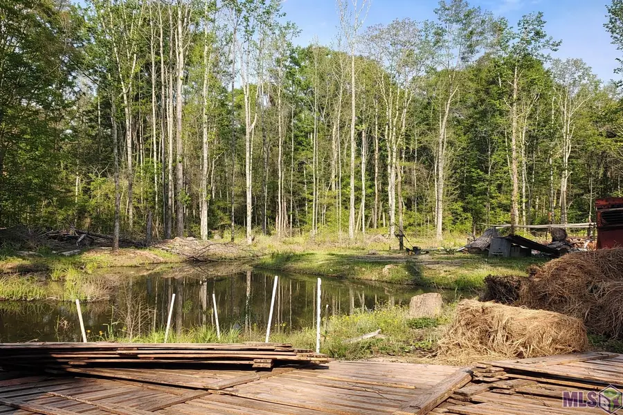 24670 Brian Rd, Zachary, LA 70730 - #3
