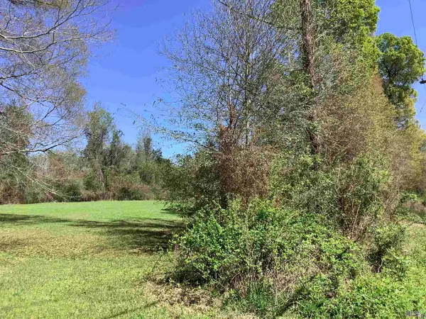 19.4 acres Fountain Young Rd, Pine Grove, LA 70456