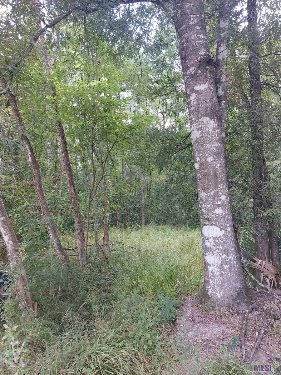 Remington Rd, Denham Springs, LA 70706 - #2