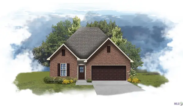 25748 Raines Ave, Denham Springs, LA 70726