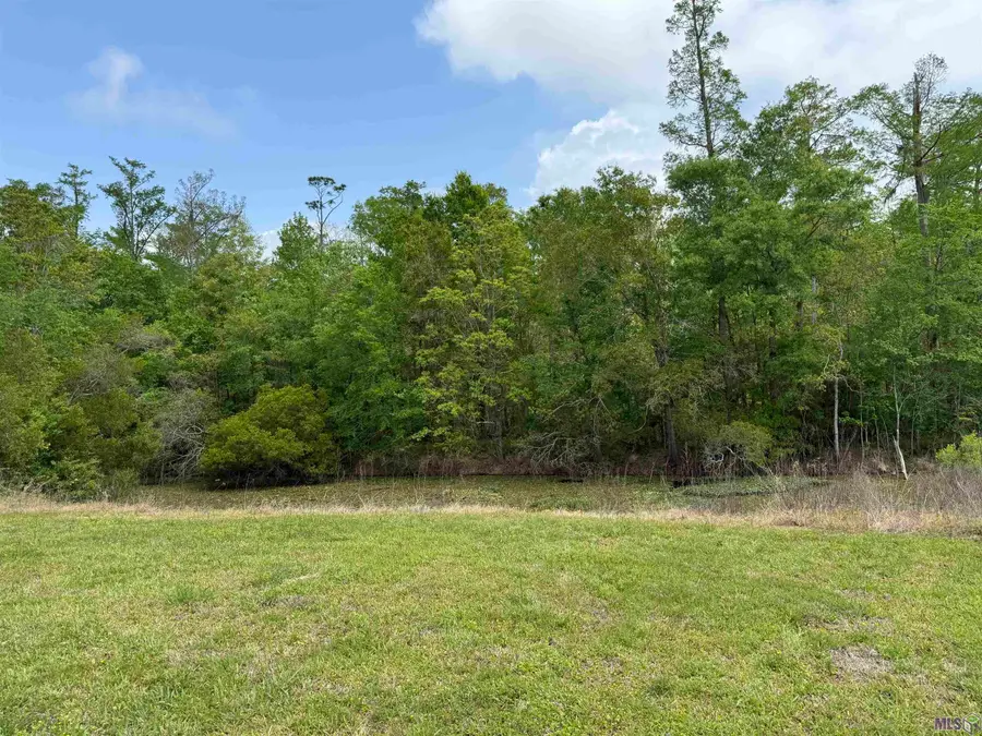 17230 Tchula Dr, Springfield, LA 70462 - #2