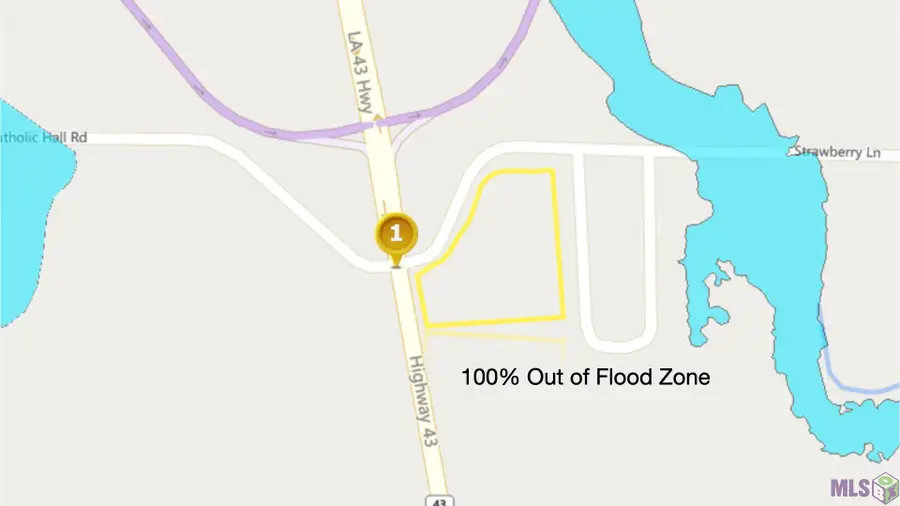 TBD La Hwy 43, Albany, LA 70711 - #2