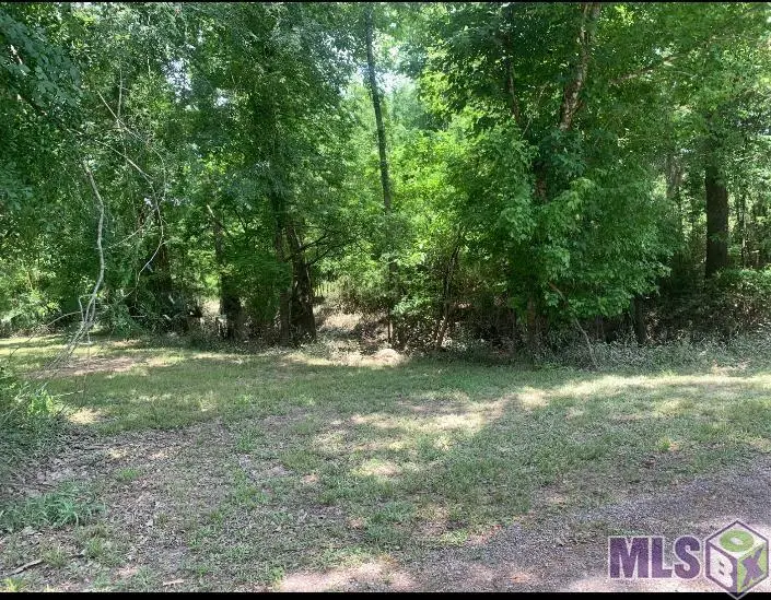Amite River Rd, Baton Rouge, LA 70817 - #1