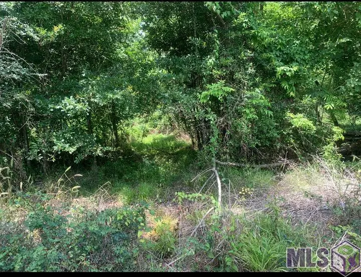 Amite River Rd, Baton Rouge, LA 70817 - #2