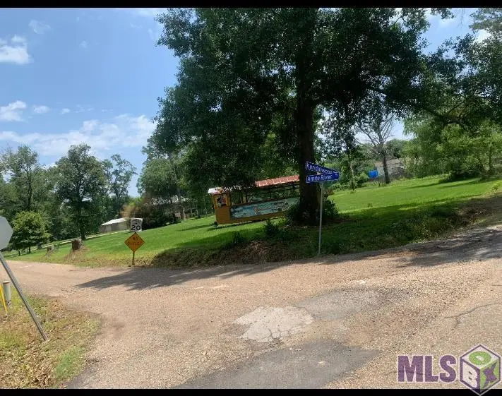 Amite River Rd, Baton Rouge, LA 70817 - #3