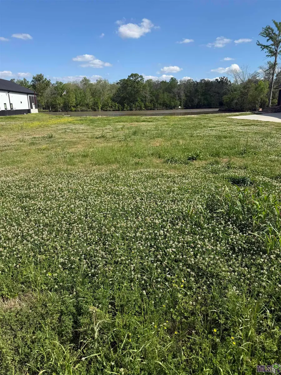 26025 La Hwy 77, Plaquemine, LA 70764 - #2