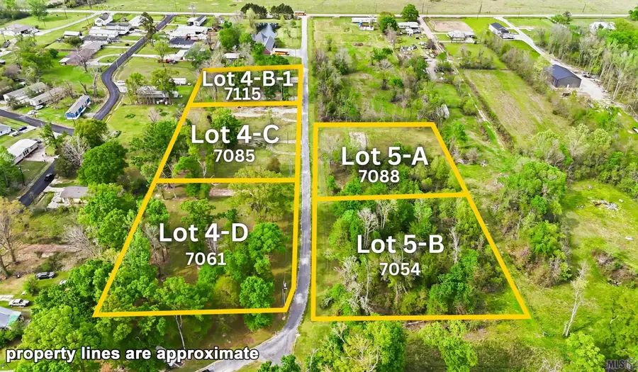 7054 Panama Manor Drive, Gonzales, LA 70737 - #2