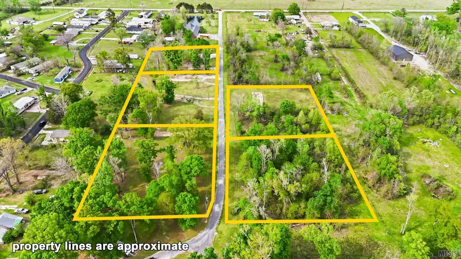 7115 Panama Manor Drive, Gonzales, LA 70737 - #3