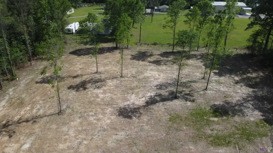 21154 Butterbean Ridge, Livingston, LA 70754 - #2
