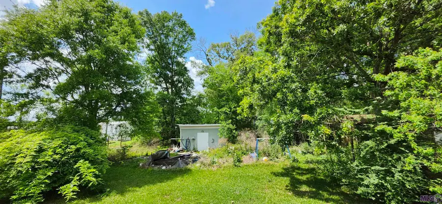 31557 Linder Rd, Denham Springs, LA 70726 - #2