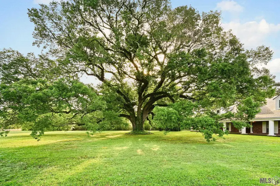 38517 La Hwy 74, Gonzales, LA 70737 - #3