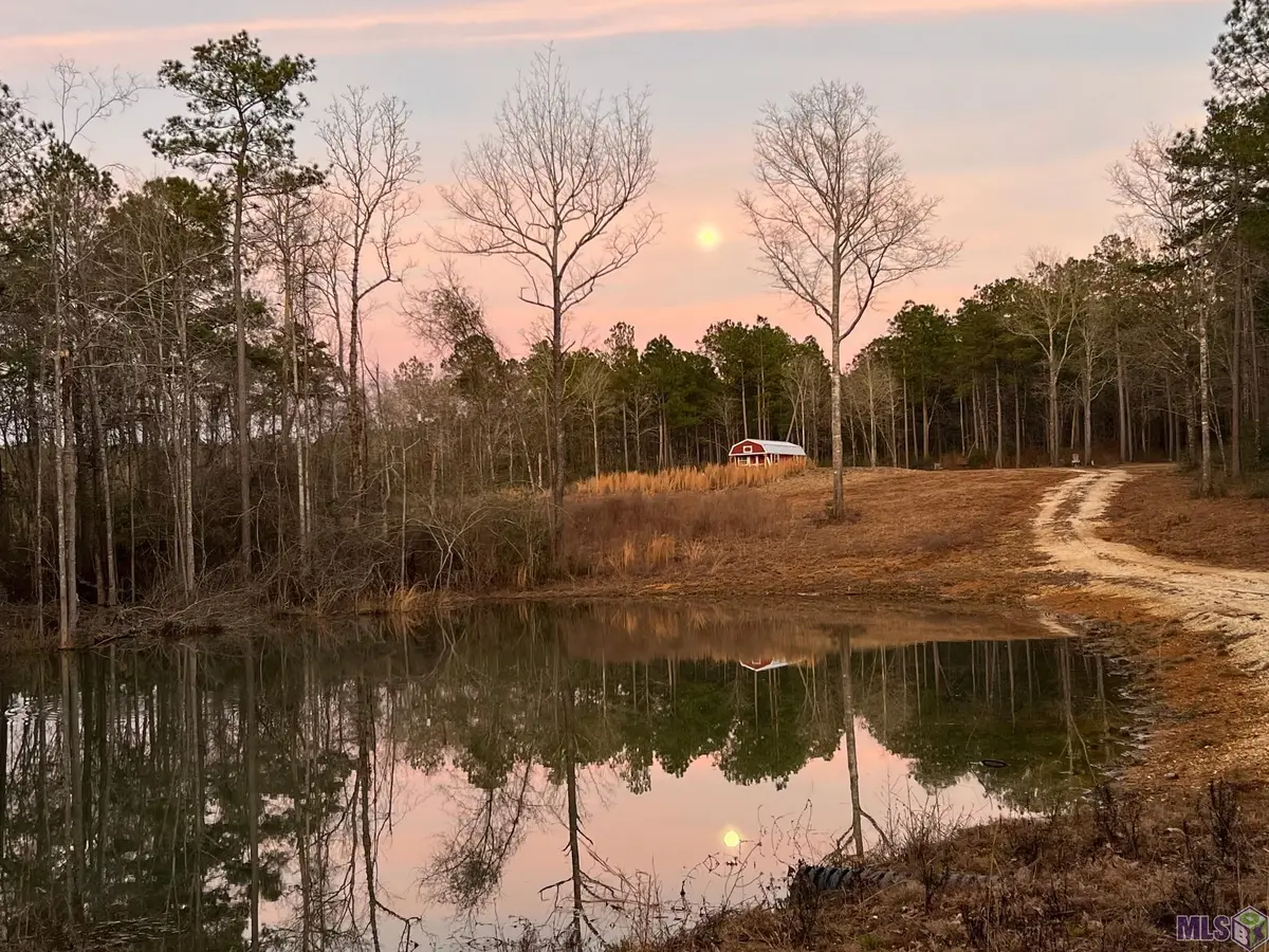27196 C O Crockett Road, Angie, LA 70426 - #1