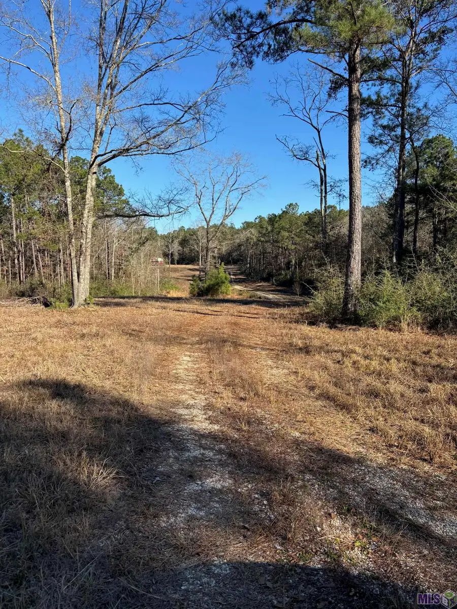 27196 C O Crockett Road, Angie, LA 70426 - #3