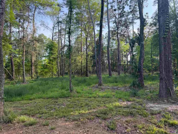 1-B-2-A-4 Clinton Allen Rd, Denham Springs, LA 70706