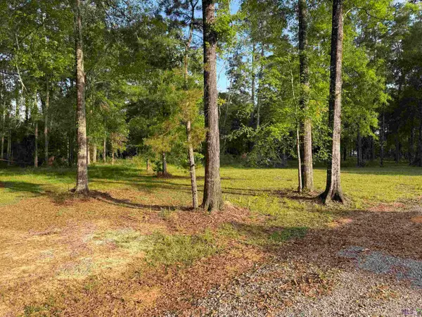 1-B-2-A-3 Clinton Allen Rd, Denham Springs, LA 70706