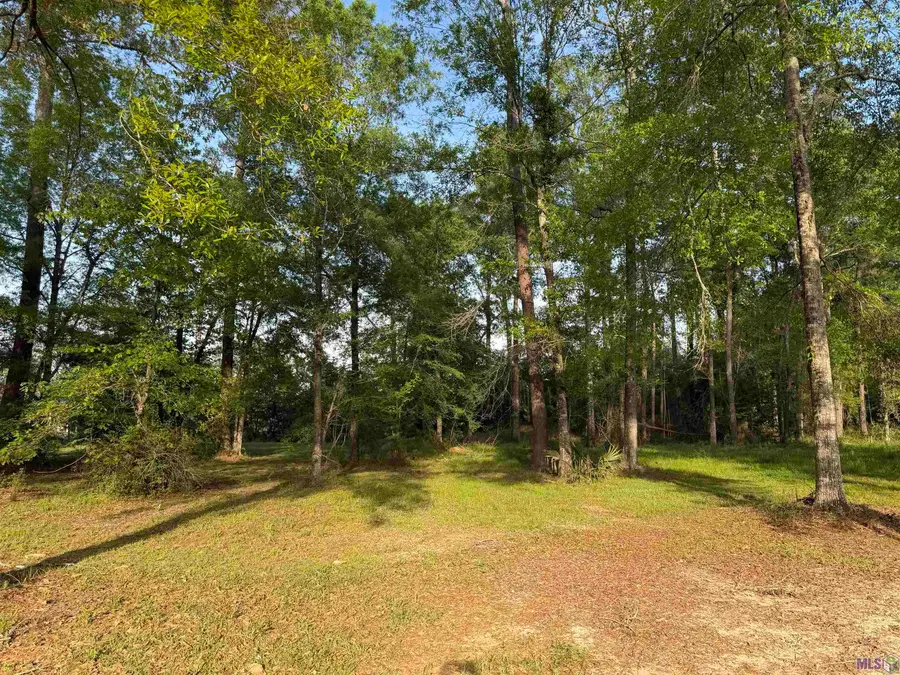 1-B-2-A-3 Clinton Allen Rd, Denham Springs, LA 70706 - #2