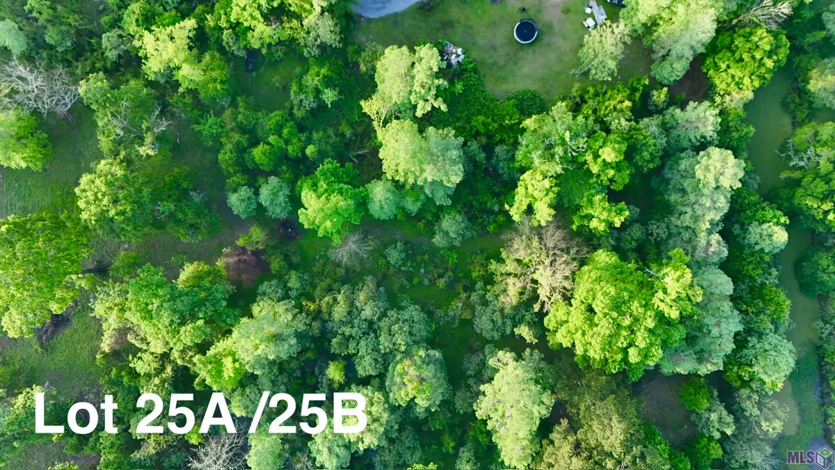 17007 Summerfield South Rd, Prairieville, LA 70769 - #1