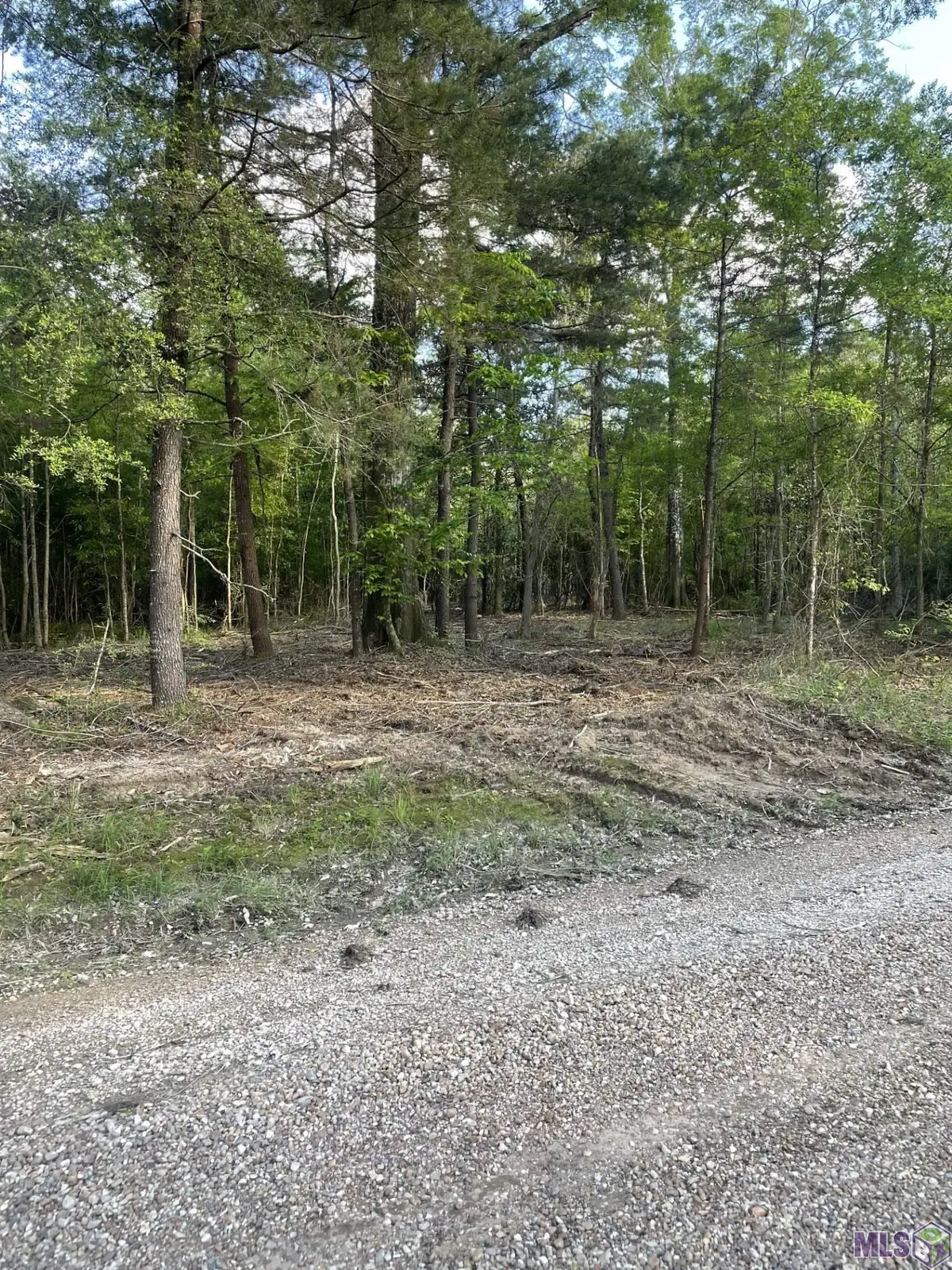 3 Three Knotch Rd, Clinton, LA 70722 - #1