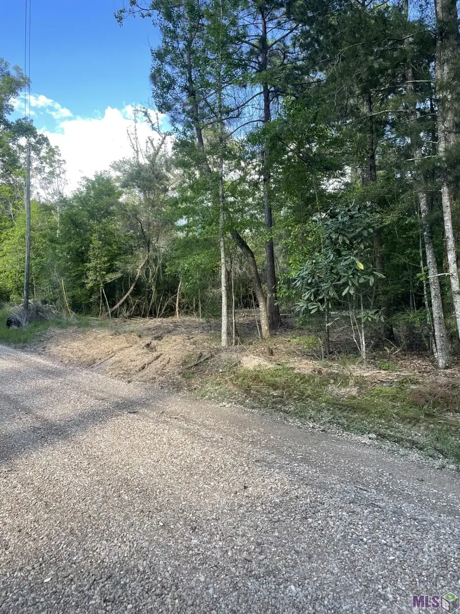 3 Three Knotch Rd, Clinton, LA 70722 - #2