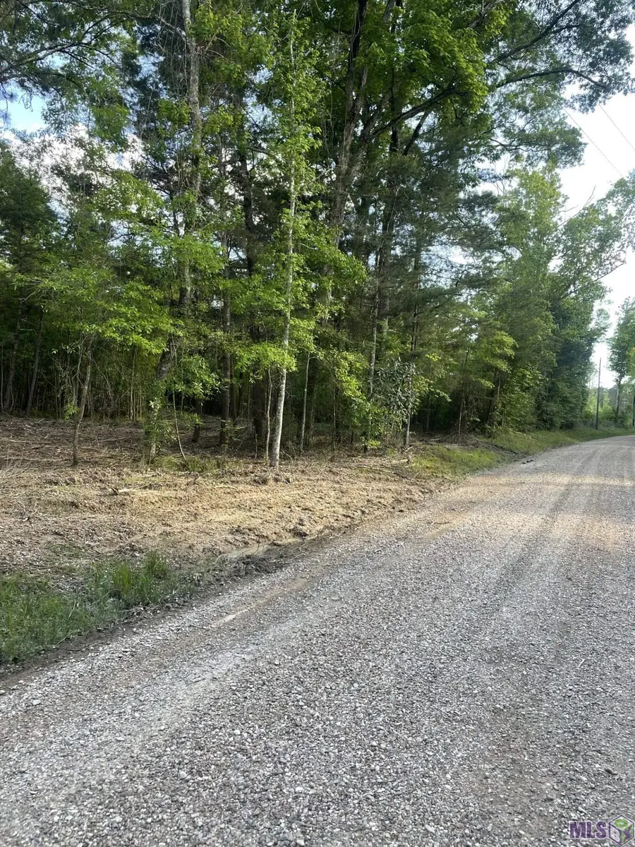 3 Three Knotch Rd, Clinton, LA 70722 - #3