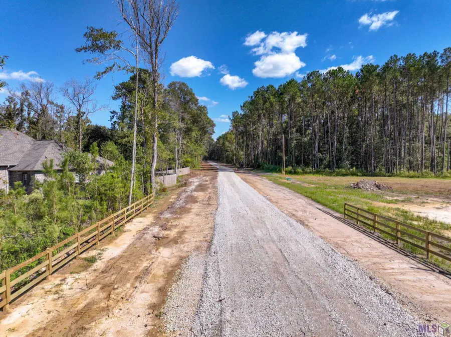 34772 Clinton Allen Rd, Denham Springs, LA 70706 - #2