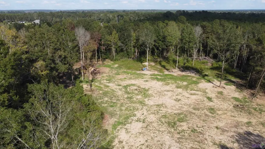 12663 Arcola Rd, Roseland, LA 70456 - #2