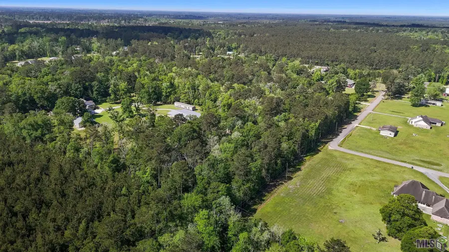 Zara Sage Rd, Walker, LA 70085 - #3