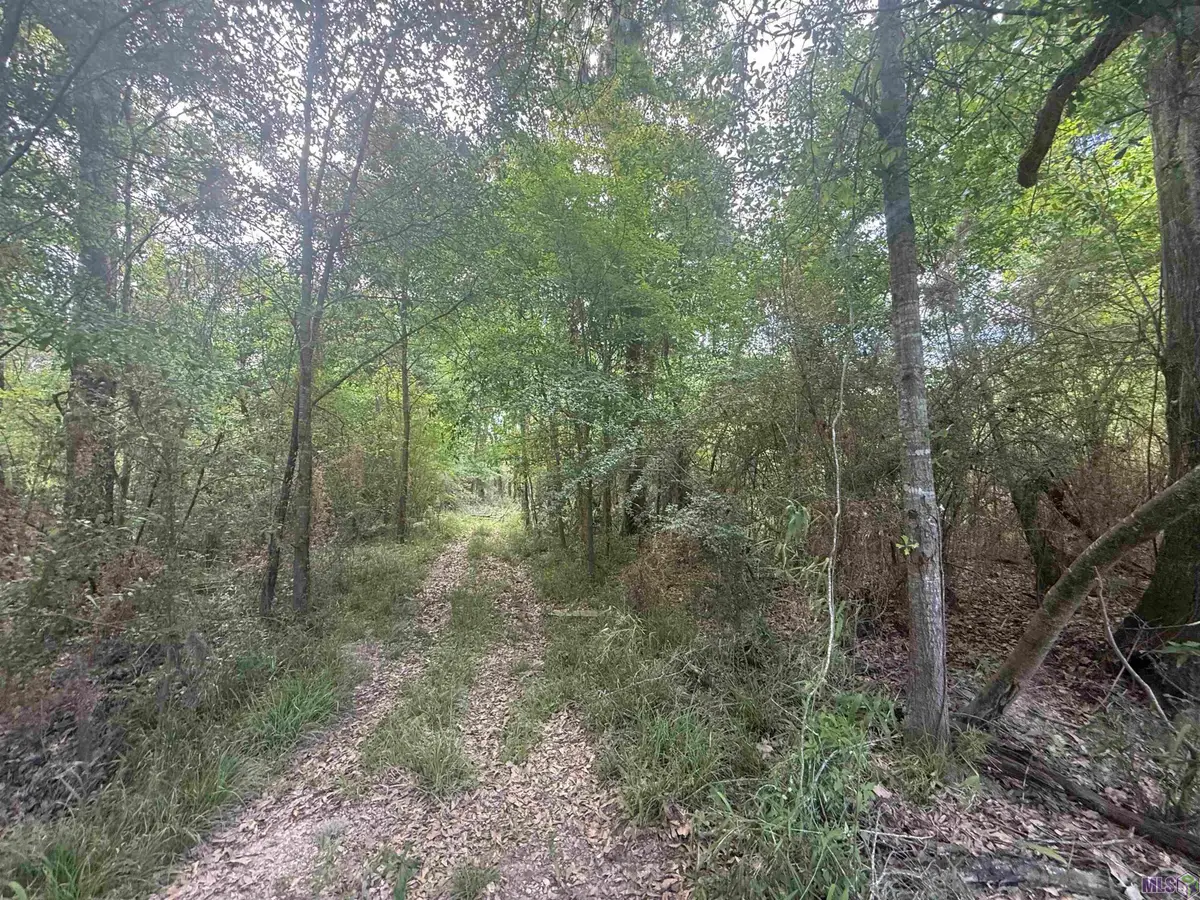 LOT-138 Amite River Rd, Baton Rouge, LA 70817 - #1