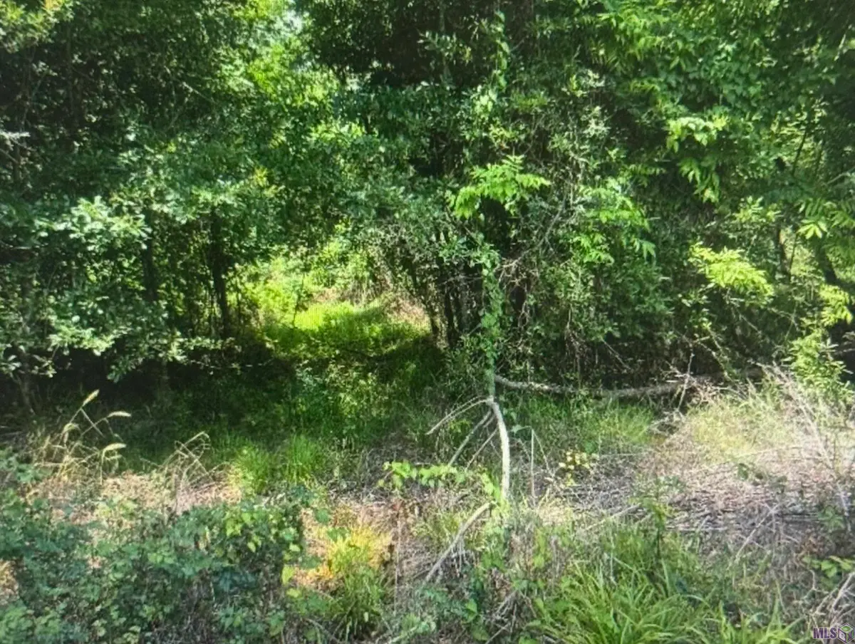 LOT-139 Amite River Rd, Baton Rouge, LA 70817 - #1