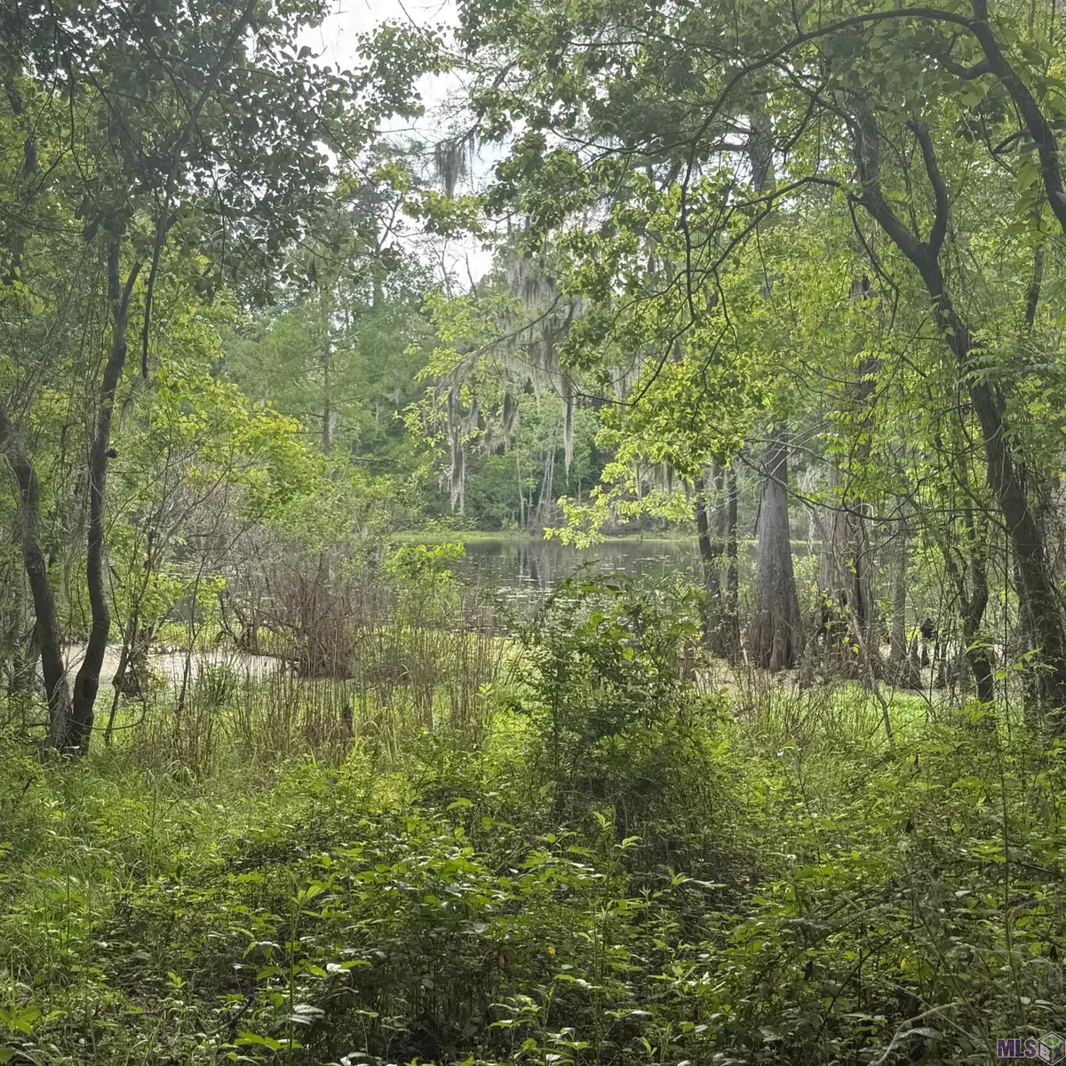LOT-137 Amite River Rd, Baton Rouge, LA 70817 - #1