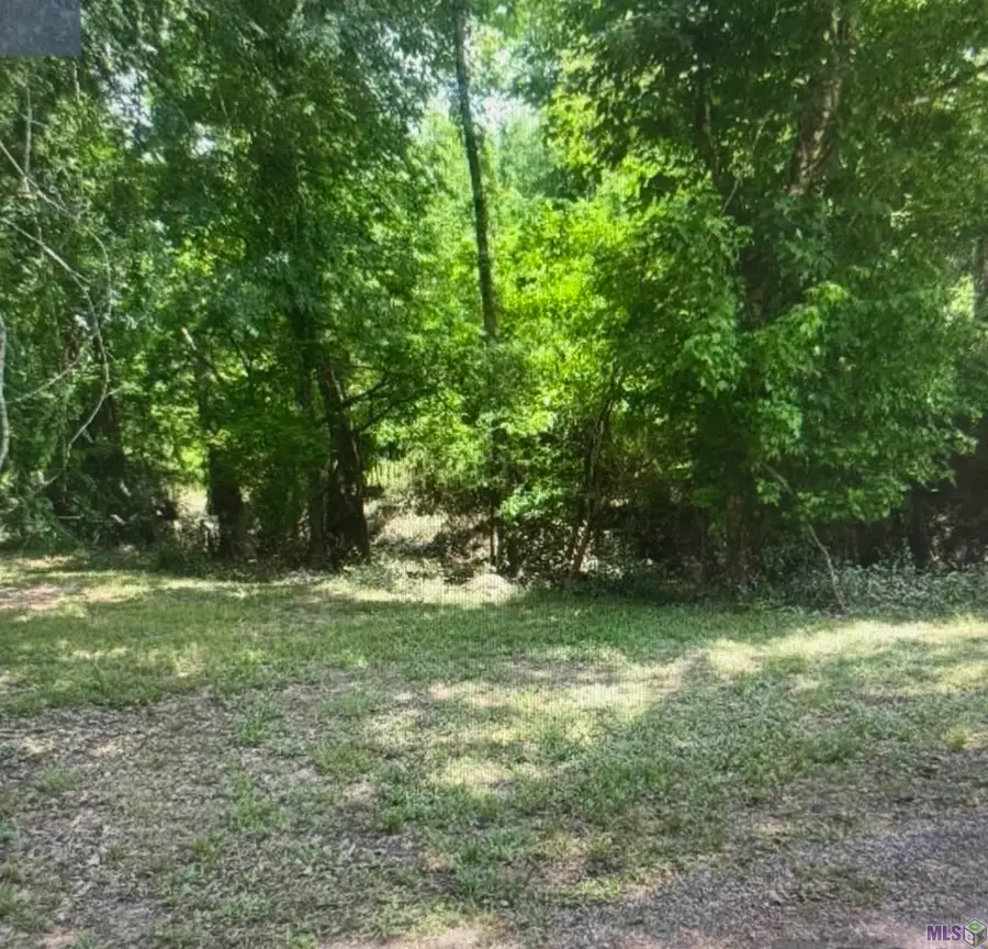 LOT-137 Amite River Rd, Baton Rouge, LA 70817 - #3