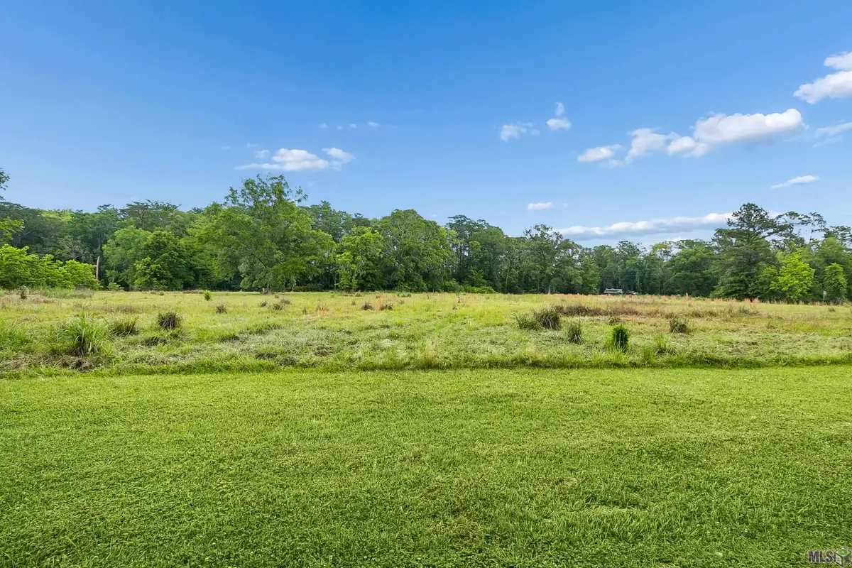 17037 La Hwy 431, Prairieville, LA 70769 - #1