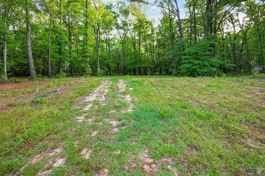 TBD Old Laurel Hill Rd, Saint Francisville, LA 70775 - #2