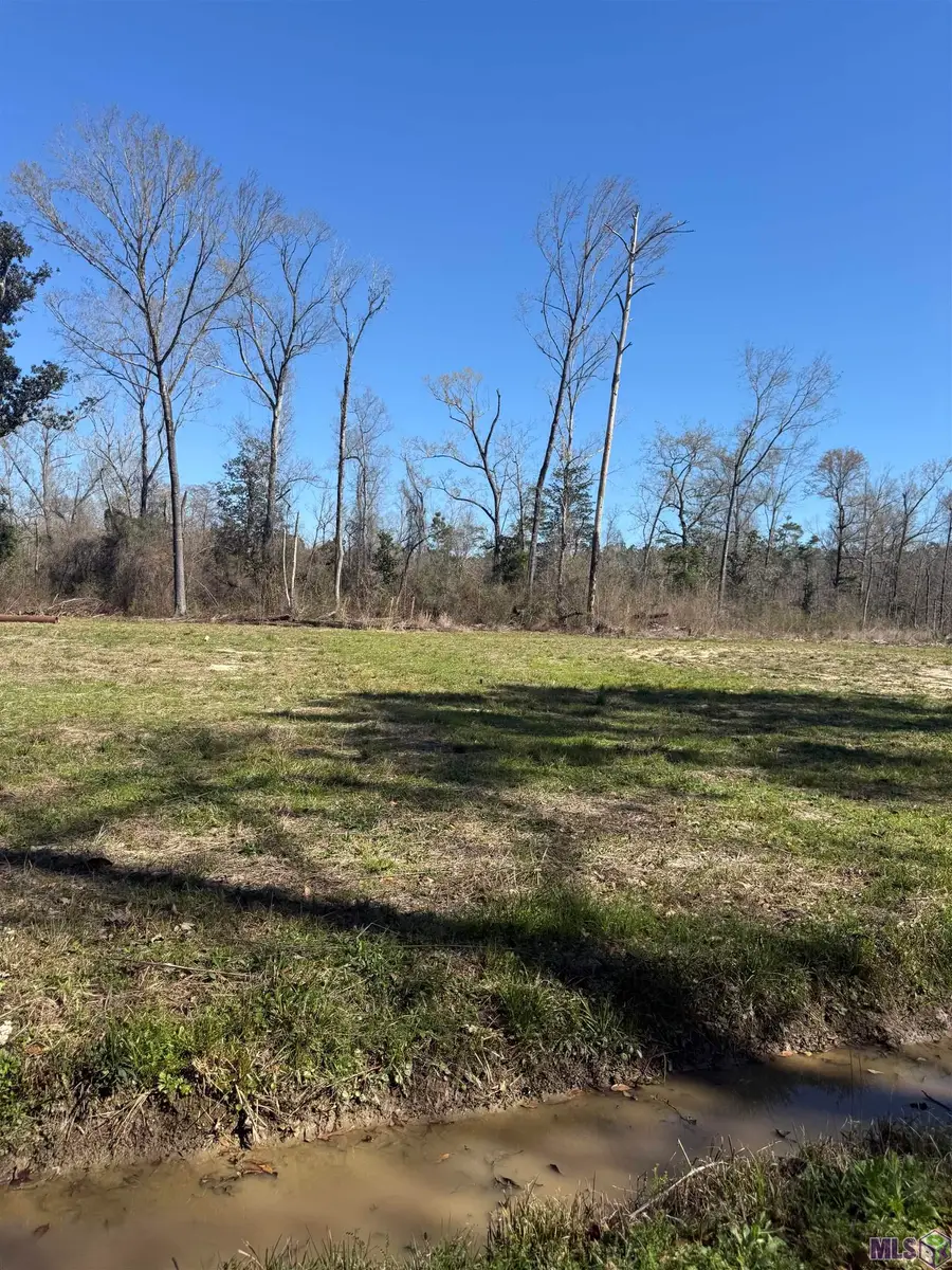 Lot 5 Music Ln, Springfield, LA 70462 - #2