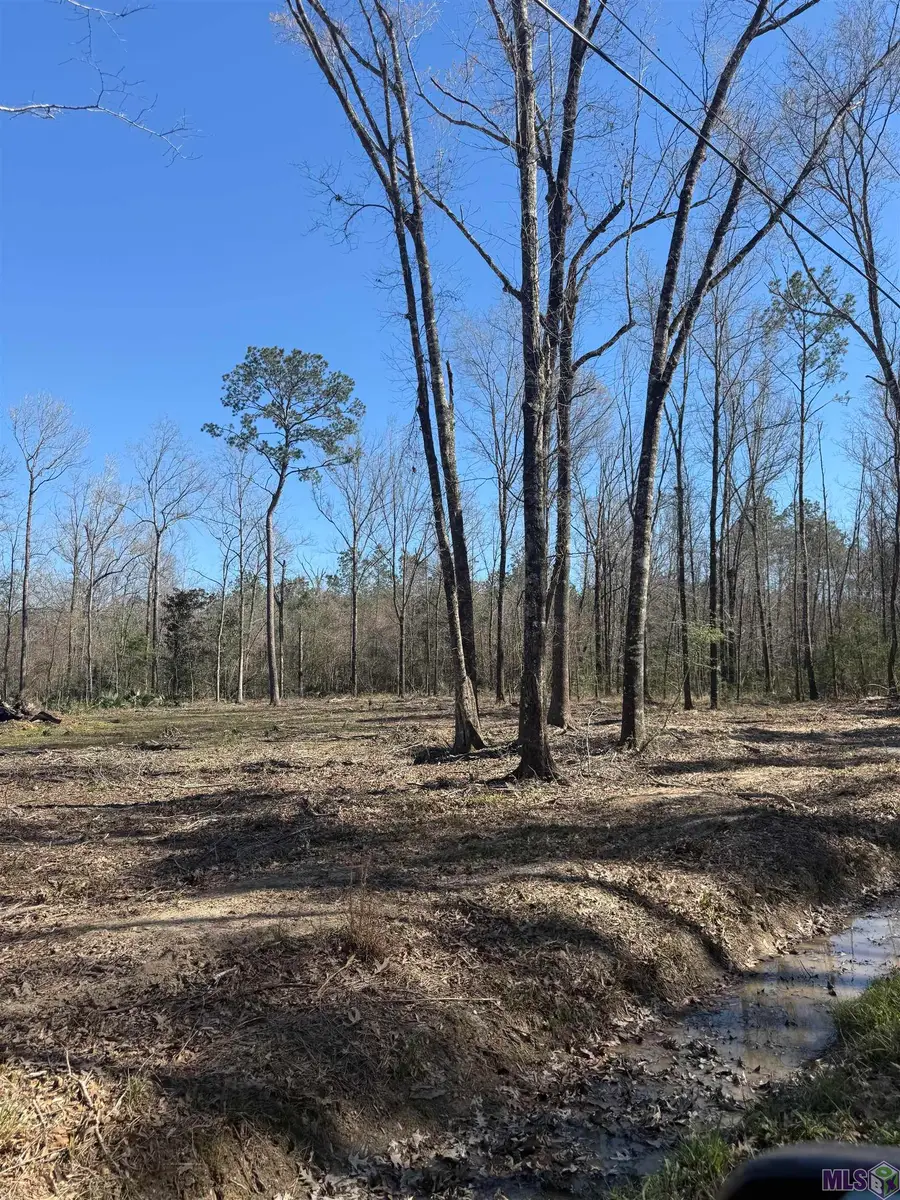 Lot 5 Music Ln, Springfield, LA 70462 - #3