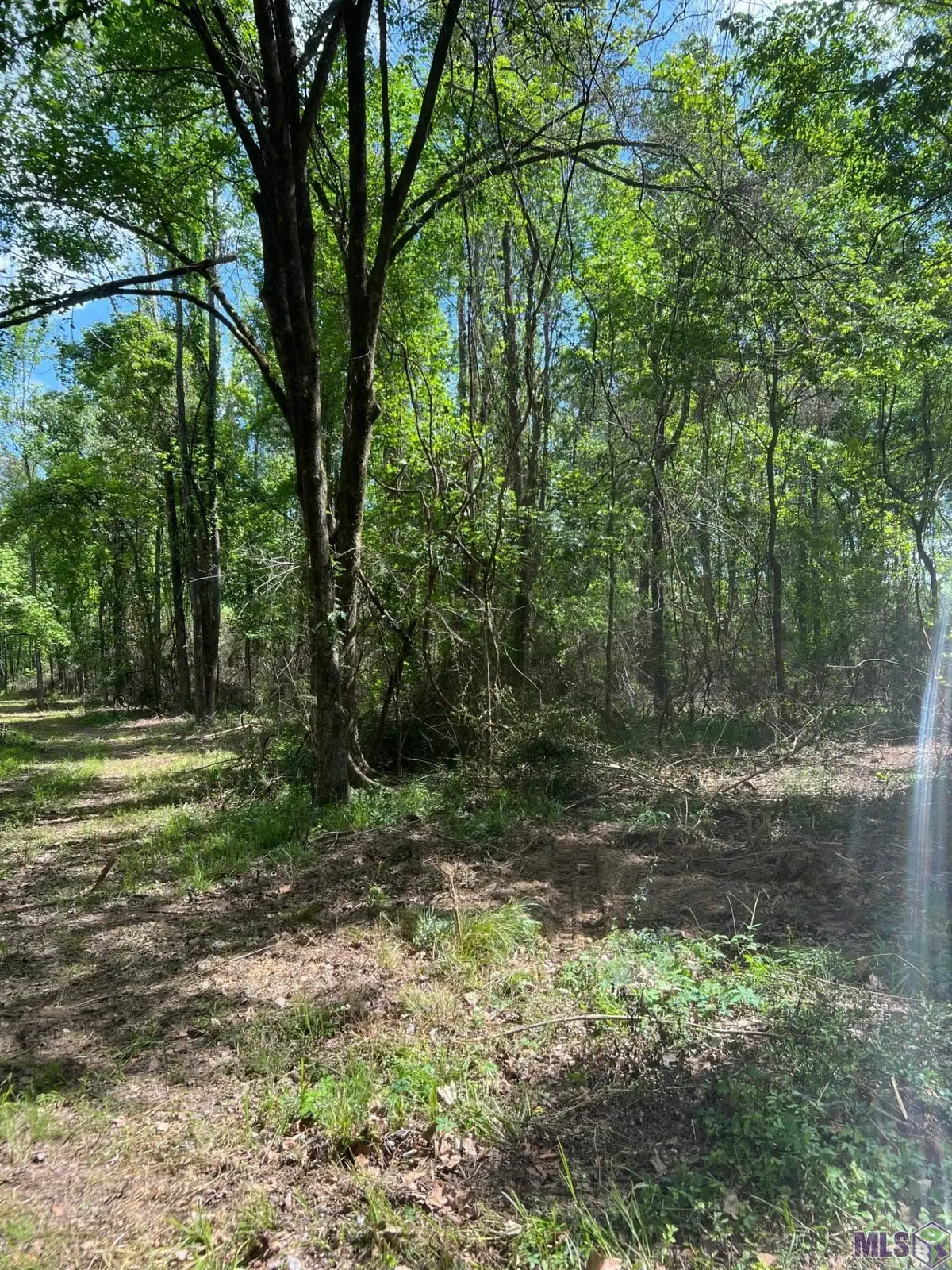 TBD Lemon B Rd, Slaughter, LA 70777 - #1