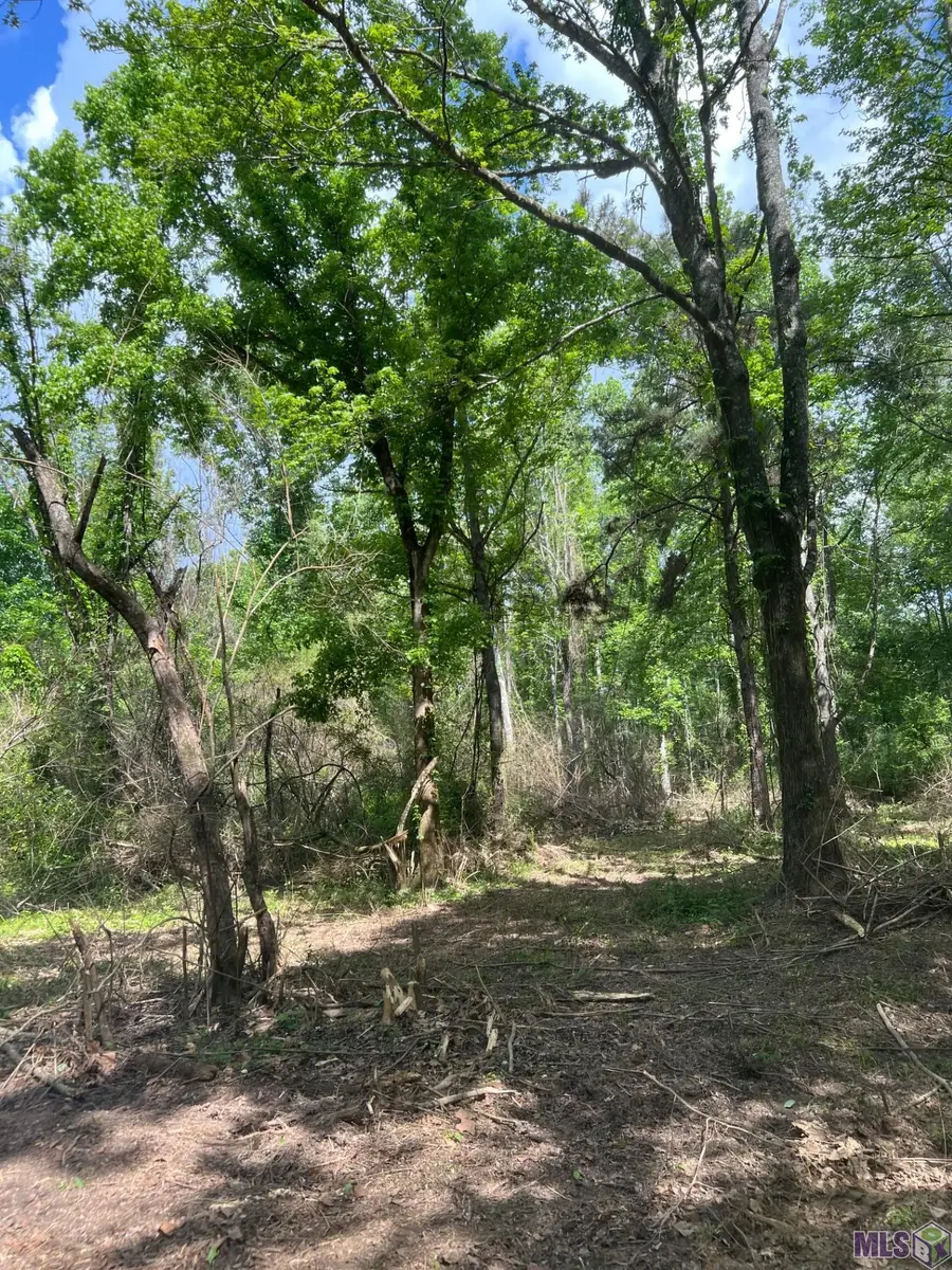 TBD Lemon B Rd, Slaughter, LA 70777 - #2