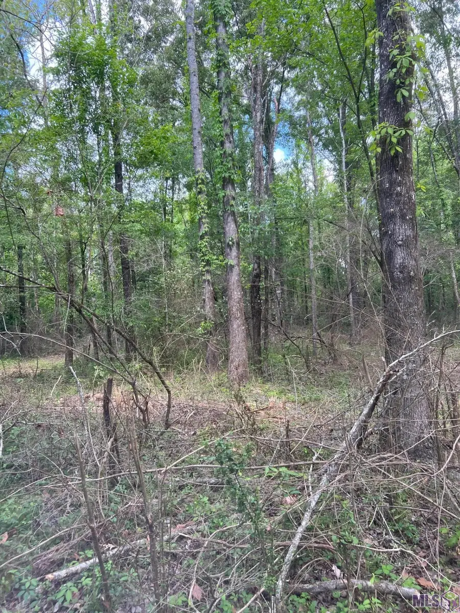 TBD Lemon B Rd, Slaughter, LA 70777 - #3