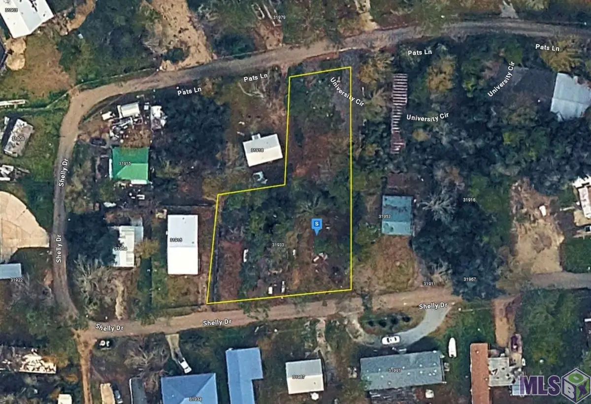 31935 Shelly Dr, Springfield, LA 70462 - #1