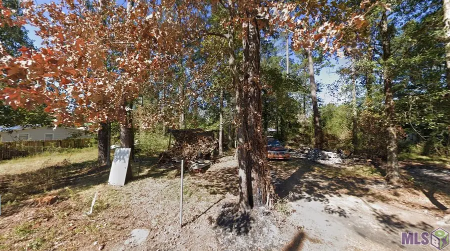 31935 Shelly Dr, Springfield, LA 70462 - #2